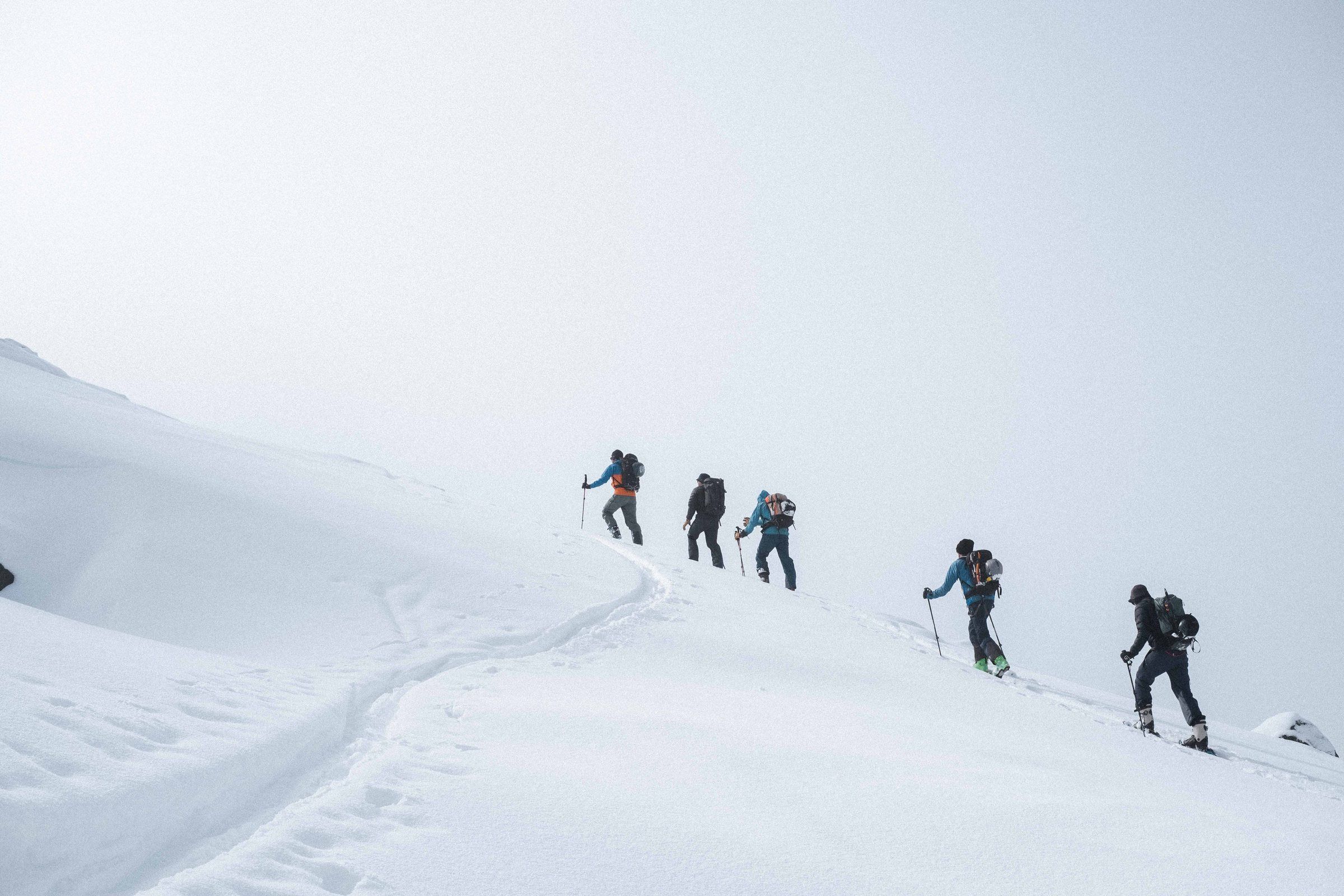 Eine Gruppe steigt mit Ski und Fellen im Nebel einen Hang hinauf